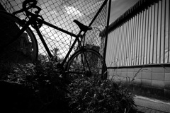 DSC01184