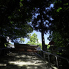 DSC04214