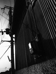 IMG_2254