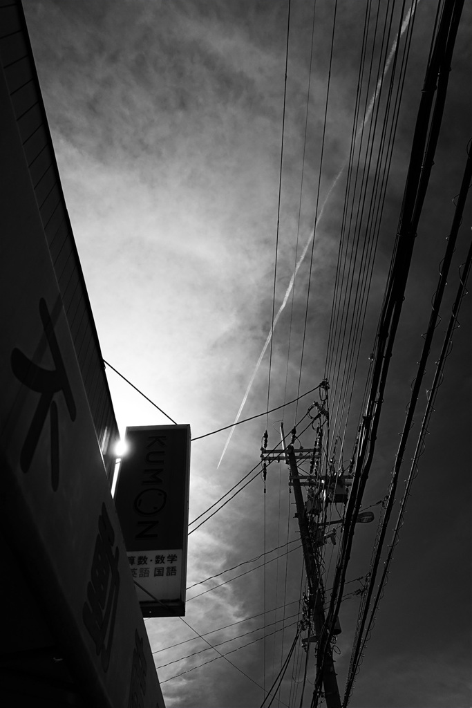 DSC01851