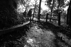 DSC00623