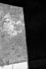DSC02063