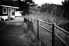 IMG_1010