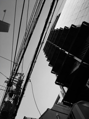 IMG_0140