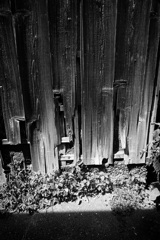 DSC01829