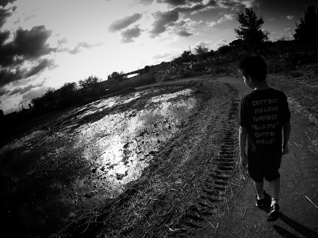 The walk of autumn #2