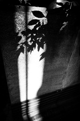 DSC02083