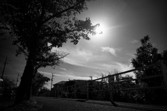 DSC02476