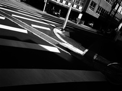 DSCN0520