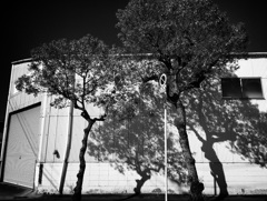 IMG_0165l