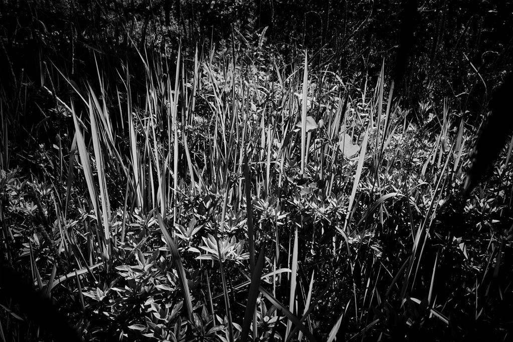 DSC01211