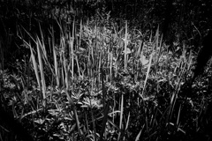 DSC01211