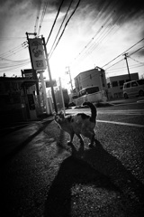 DSC01003