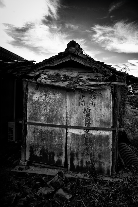 DSC01991