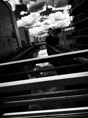 IMG_0981