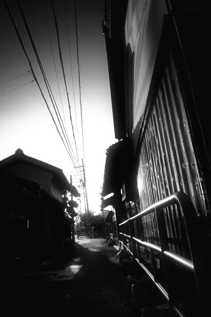 DSC02311
