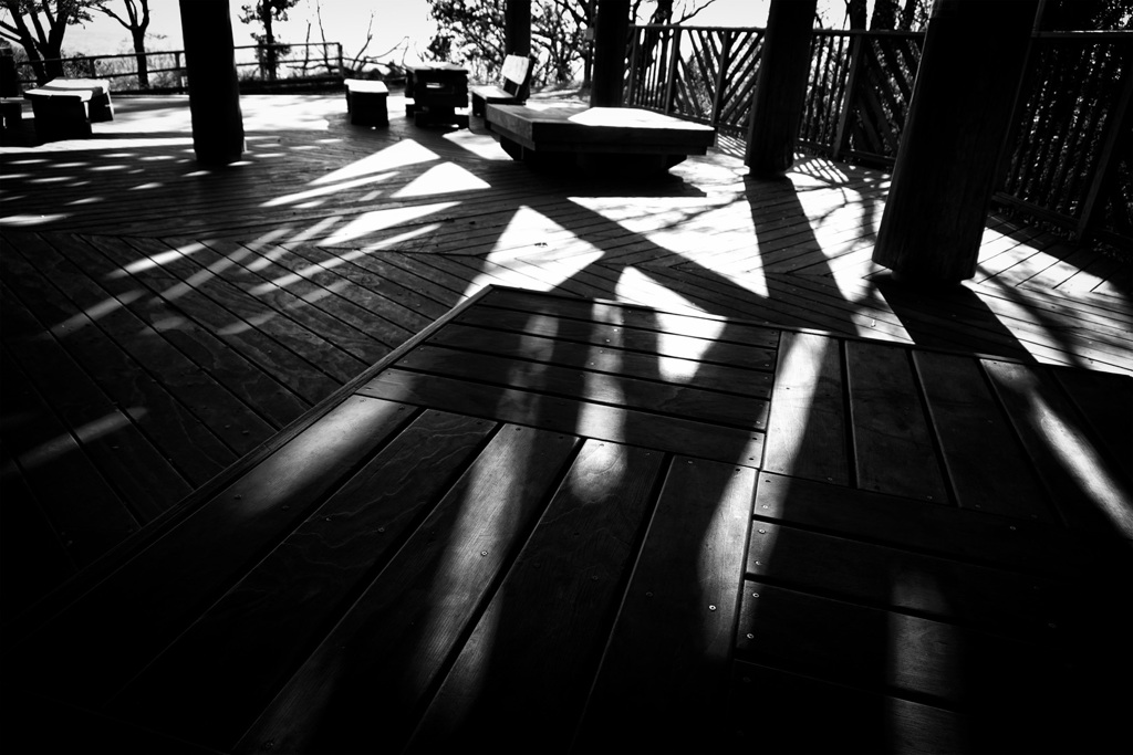 DSC03333