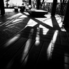 DSC03333