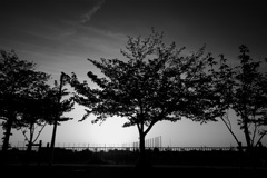 DSC00731