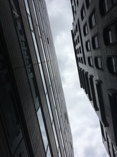 IMG_0778