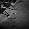 DSC06183