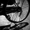 DSC04708
