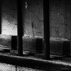 DSC05916