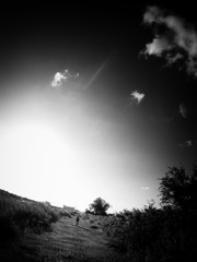 A boy's adventure #4