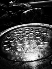 IMG_1477