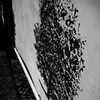 DSC03319