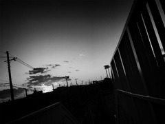 IMG_2130