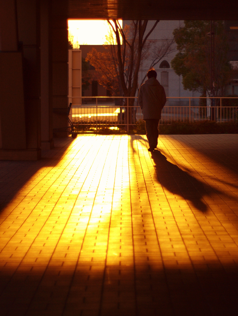 2011　03　夕景＃1