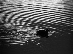 P1035732