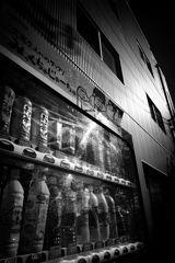 DSC02479