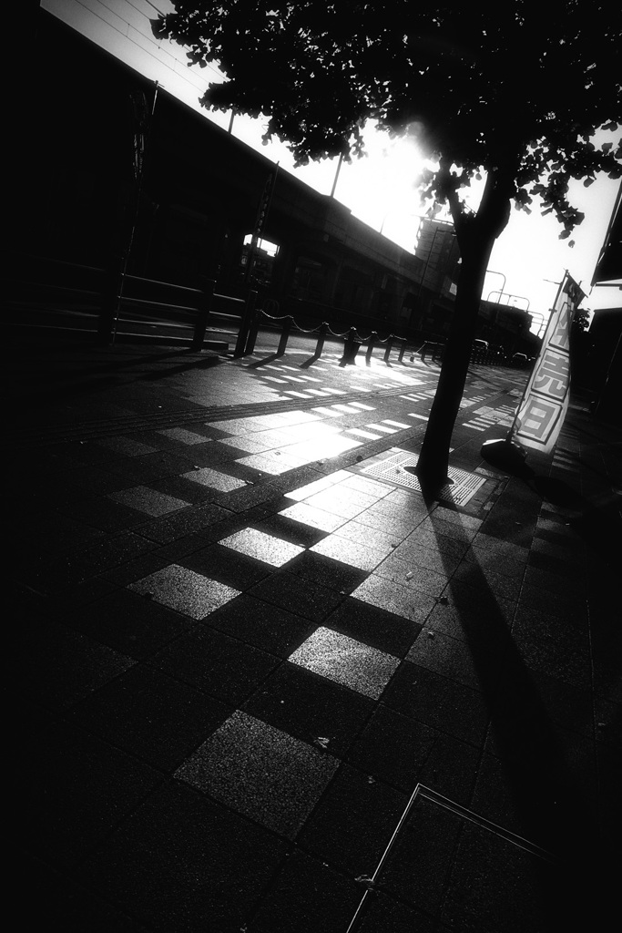 DSC02305