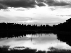 P1035704