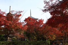 清水寺