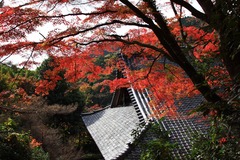 金蔵寺