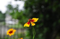 DSC_0046