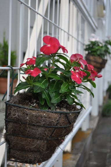 DSC_0119