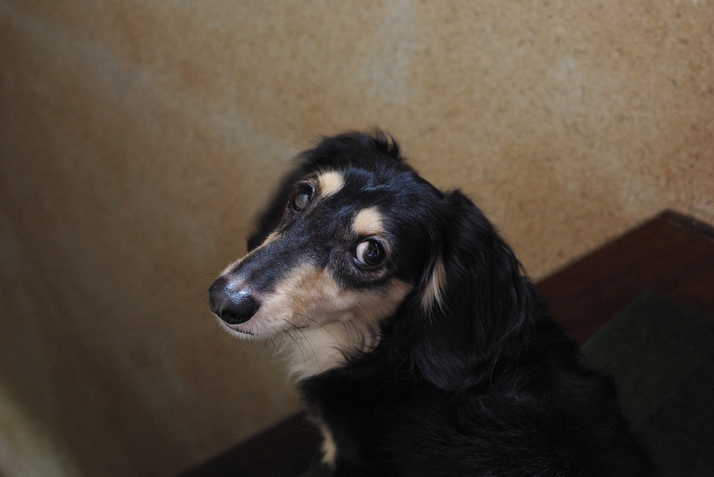 目で意思疎通。