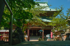 鹿野山　神野寺