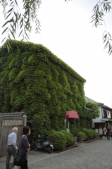 倉敷美観地区５