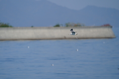 思ったよりも、、、