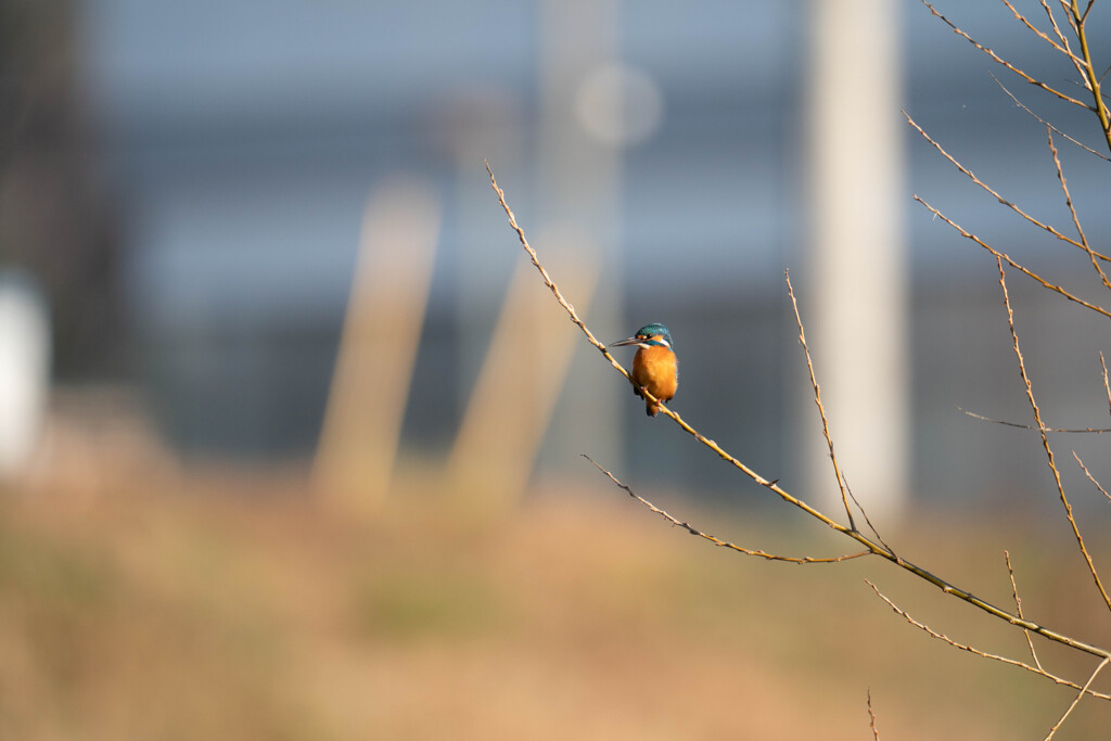 慣れたのか？？