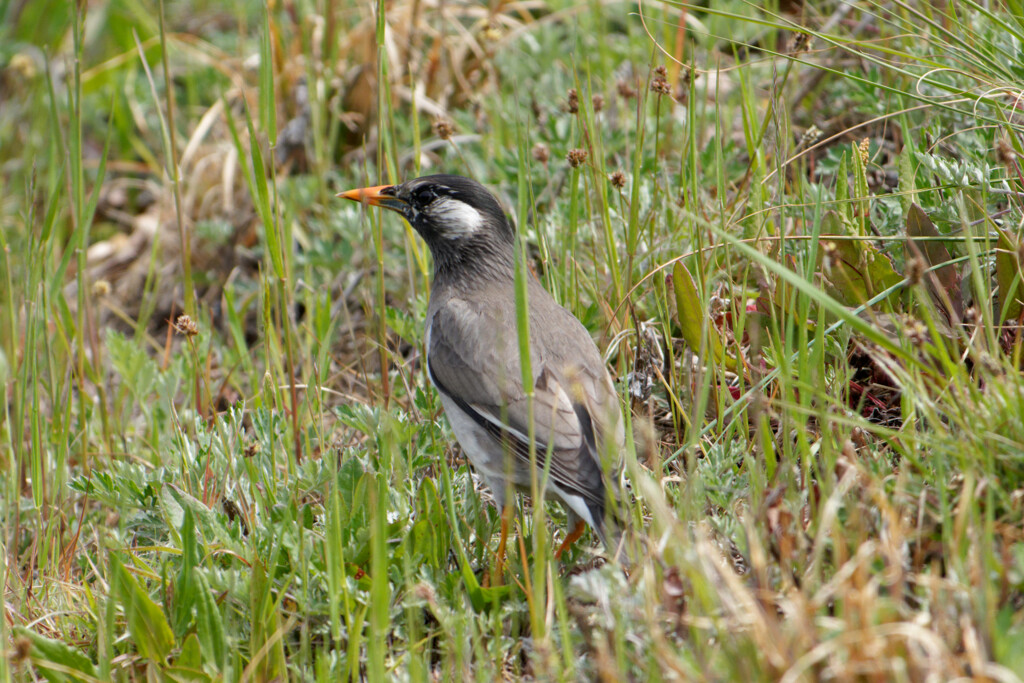 DSC06693_DxO