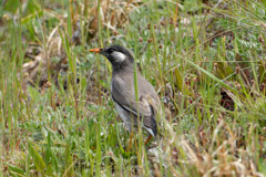 DSC06693_DxO