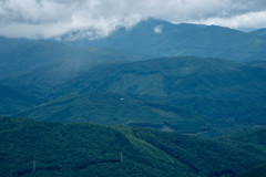 ブラウンエリア