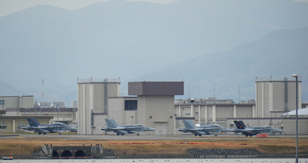 祭りの予感。。。