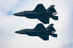 初めてみたかも・・